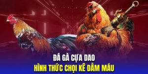 đá gà cựa dao